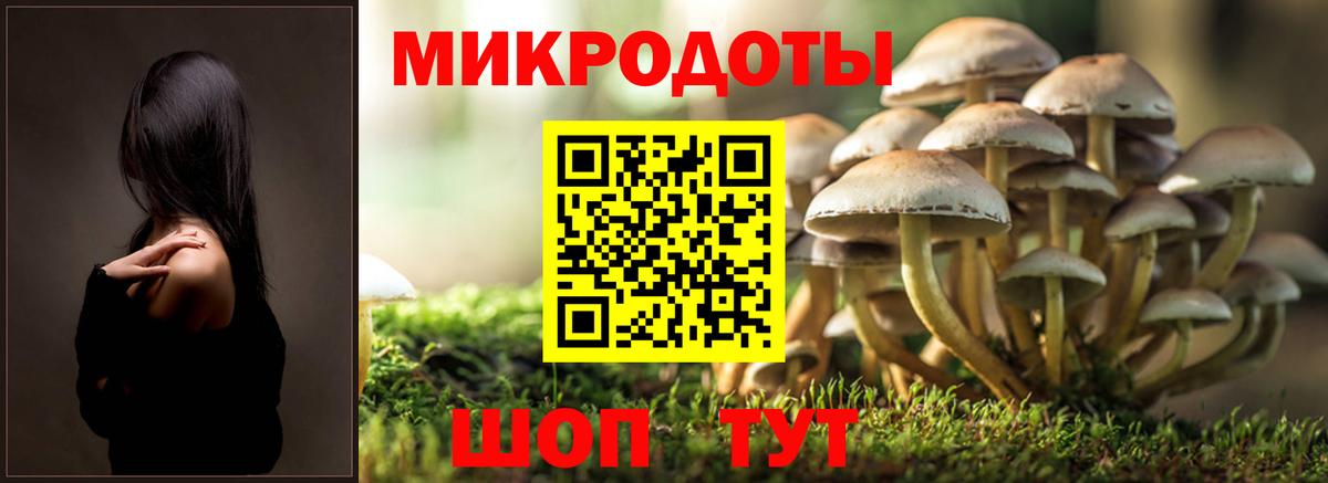 цены наркотик  Вход с VPN  Краснокаменск  Псилоцибиновые грибы мухоморы 